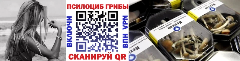 Купить где Пестово Галлюциногенные грибы прущие грибы